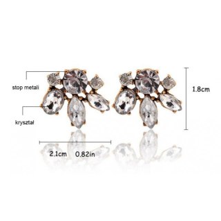 Kolczyki delikatne SALVA cyrkonie K743