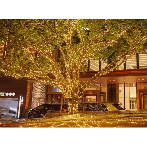 Zewnętrzne/wewnętrzne lampki choinkowe ryż 450 LED 17m, barwa ciepłe białe do dekoracji LAMP60CB