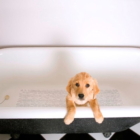 Antypoślizgowa Mata do Wanny Brodzika pod Prysznic ORION