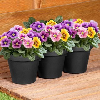 Doniczka Ogrodowa Potrójna VILDE 39,5 cm Czarna na Zioła i Kwiaty