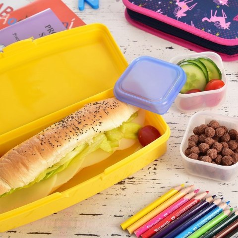 Pojemnik Lunchbox Śniadaniowy 500 ml ORION Zamykany 21 x 9 cm