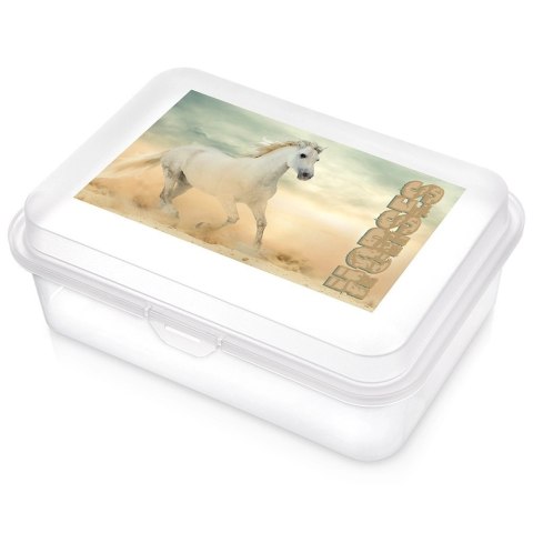 Pojemnik Lunchbox Śniadaniowy 750 ml ORION Zmywarka Mikrofala 18 x 13 cm