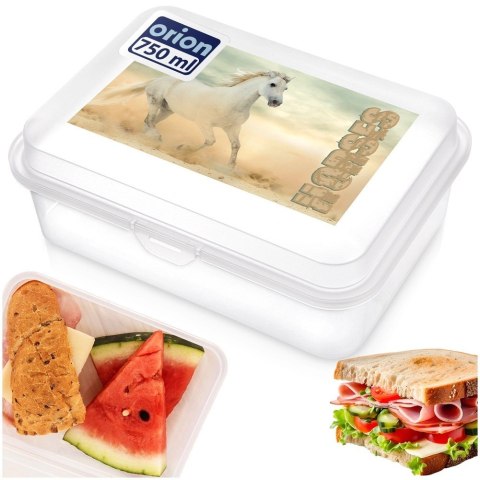 Pojemnik Lunchbox Śniadaniowy 750 ml ORION Zmywarka Mikrofala 18 x 13 cm