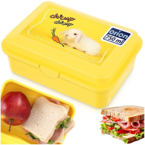 Pojemnik Lunchbox Śniadaniowy 750 ml ORION Zmywarka Mikrofala 18 x 13 cm