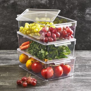 Pojemnik do Lodówki z Pokrywką 32,5 x 20 x 10,5 cm ORION Przezroczysty