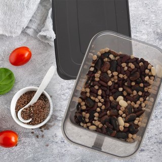 Pojemnik na Produkty Sypkie GREY 2,75 L ORION Uchwyt 19 x 13 x 15,5 cm