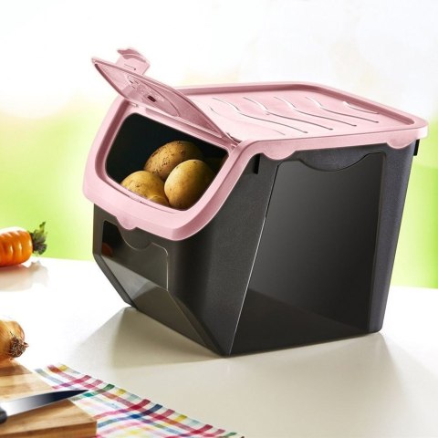 Pojemnik na Warzywa Owoce Cebulę Ziemniaki Czosnek