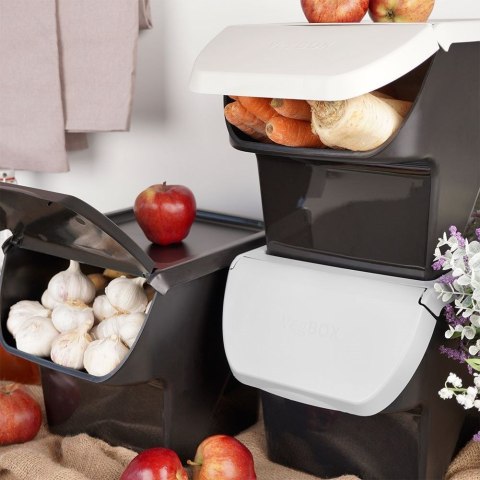 Pojemnik na Warzywa Piętrowany 13 L VILDE z Klapą Zmywarka 34 x 27,5 cm