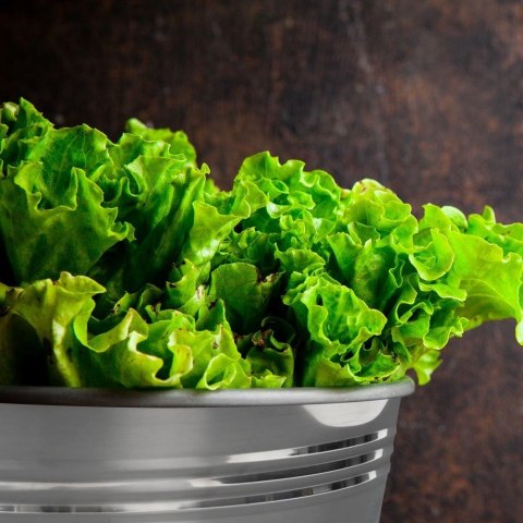 Wiadro do Żywności Stal Nierdzewna 14 L ORION Wielofunkcyjne 33,5 x 29 cm