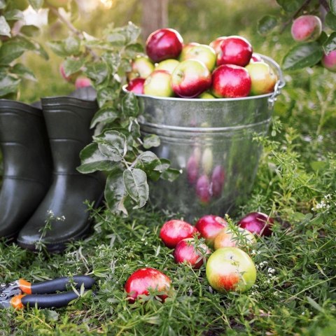 Wiadro do Żywności Stal Nierdzewna 14 L ORION Wielofunkcyjne 33,5 x 29 cm