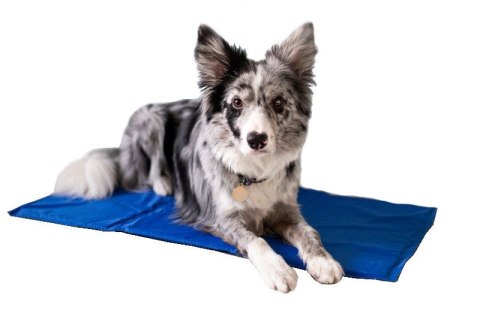 Żelowa mata chłodząca dla psa kota 50x65 AIO FACTORY SP. Z O.O.